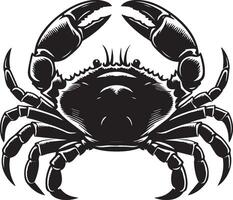 Beautiful Crab image vector