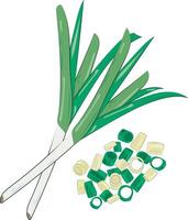 Chopped Green Onion Element Chives Slices Illustration Graphic Element Art Card vector