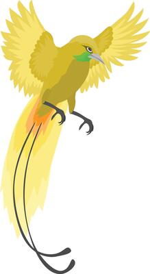 illustration of bird of paradise, bird of paradise from the Papua region of Indonesia