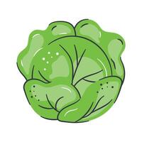 Infuse freshness into your designs with our Lettuce Icon. A crisp, green touch that adds a vibrant and healthy flair to your projects vector