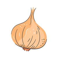 Have a look at this amazing icon of onion, yellow onion, isolated on white background vector