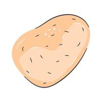 Beautifully designed potato , ready to use vector