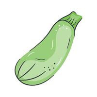 Green zucchini icon with a smooth surface, representing fresh vegetables vector