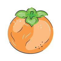 Persimmon fruit icon in modern design style, ready to use vector