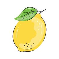 An icon of lemon in modern design style, trendy vector