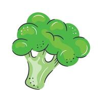 Broccoli design, isolated on white background, iron rich vegetable vector