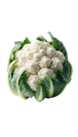 Cauliflower isolated on transparent background png