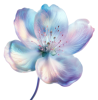 A delicate flower with pastel colors in bloom during springtime, showcasing intricate petals and vibrant details, cut out - stock . png