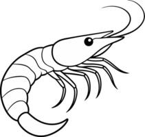 Black and white Shrimp Illustration vector