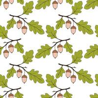 Autumn pattern with oak branch with green leaves and brown-pink acorns, on white background. vector