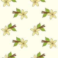 Pattern Cinnamon sticks and vanilla flower doodle color drawing on pastel beige background vector
