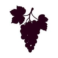 Silhouette of bunch grapes vine, on white background. Element design, logo, icon. vector