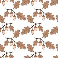 Autumn pattern oak branches with leaves and acorns, brown colors drawing on white background. vector
