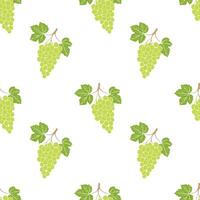 Pattern with green grape bunch on white background. vector