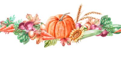 Seamless border with pumpkin, wheat, sunflower, beetroot, carrot in watercolor illustration. Harvest theme composition for exhibitions and fairs. Illustration isolated from background. png