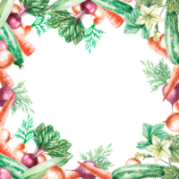 Square frame with onions, leaves, zucchini, beets, carrots in a watercolor illustration. Composition on the theme of harvest for exhibitions and fairs. Illustration is isolated from the background. png