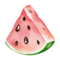 Watercolor Watermelon Slice illustration on isolated background. Hand drawn summer fruit berry for production label. Sliced juicy tropical dessert. Food design for postcard. png
