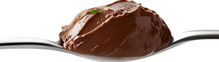 Chocolate Pudding on a Spoon with Transparent Background, Delicious Dessert with a Subtle Green Garnish png