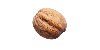 A Single Walnut with a Transparent Background, Isolated on Black, Perfect for Your Design Projects png