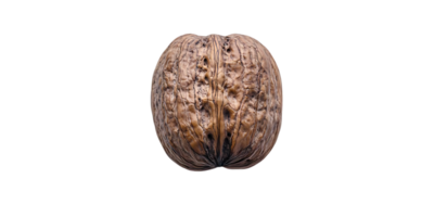 A Close-Up View of a Walnut Shell with a Transparent Background png