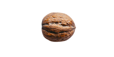 A Single Walnut Shell Isolated on a Transparent Background png