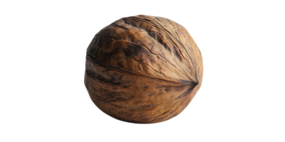 A Single Walnut with a Transparent Background, Close-up Image of a Walnut Shell with Rich Brown Color and Wrinkled Texture png