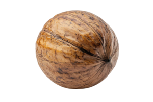 A Single Walnut Shell with a Transparent Background png