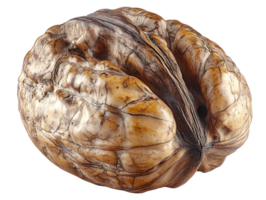 Walnut Shell with a Transparent Background, A Detailed Look at the Texture and Form of a Walnut Shell png