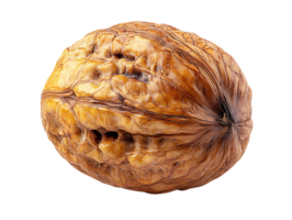 A Single Walnut Isolated on a Transparent Background, Showing Its Intricate Texture and Rich Brown Color png
