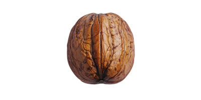 A Single Walnut Shell Isolated on a Transparent Background, Perfect for Digital Design Projects png