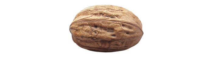 A Single Walnut Shell, Isolated on a Transparent Background, Showcasing its Intricate Texture png
