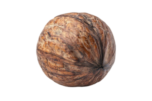 A Single Walnut Shell Isolated on a Transparent Background png