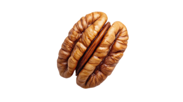 Pecan Nut with a Transparent Background, Isolated on Black, Perfect for Your Projects png
