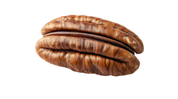 Pecan Nut Isolated on Transparent Background, Macro Photography with Close-Up Detail of Shell Texture png