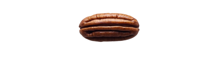 Pecan Nut with Transparent Background, Isolated on Black, High Quality, Single, Brown Shell, Organic Pecan, Nut Image, Pecan Nut Macro, Food Photography, Nature Photography, Macro Photography png