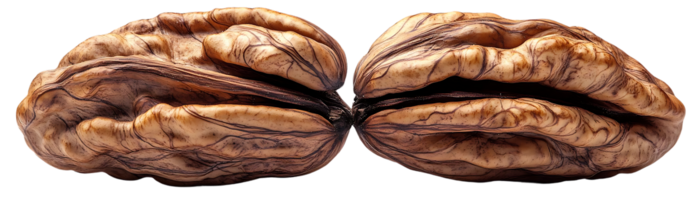 Walnut Shells with Transparent Background - The Intricate Veins and Textures of a Cracked Walnut Shell png