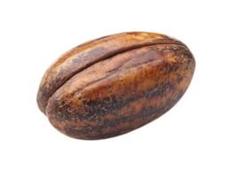 A Close-Up of a Single Coffee Bean with a Transparent Background png