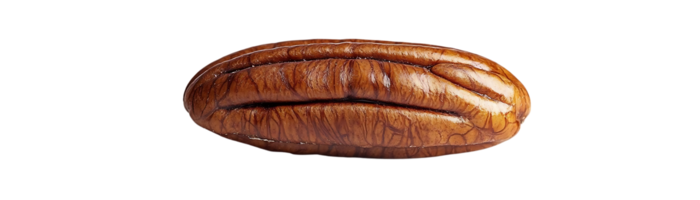 Pecan Nut with Transparent Background, Isolated on Black - A Single, Delicious Pecan Ready for Your Next Recipe png