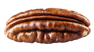Close-Up of a Pecan Nut Shell with a Transparent Background png