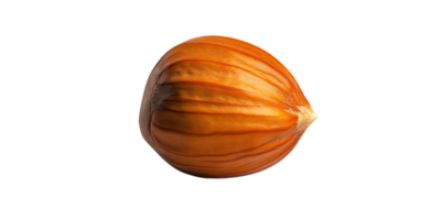 Hazelnut with a Transparent Background A Close-up View of a Brown Nut with Visible Lines and a Pointed Tip png