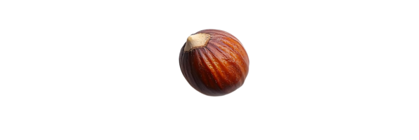 A Single Hazelnut Isolated on a Transparent Background, Nut with a Brown Shell and a Pointy Tip, Nature's Delicacy png