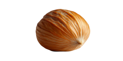 A Single Hazelnut Shell Isolated on a Transparent Background, Displaying its Intricate Texture and Warm Brown Hues png