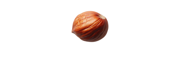 A Single Hazelnut Isolated on a Transparent Background, Perfect for Design Projects and Food Photography png