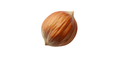 A Single Hazelnut, Isolated on Transparent Background, with Delicate Texture and Rich Brown Hues. png