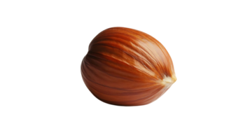 A Single Hazelnut with a Transparent Background, Isolated on Black png