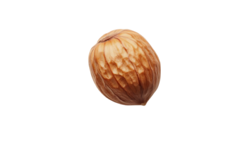 A Single Hazelnut with a Transparent Background, Isolated on Black, Perfect for Nutty Recipes png
