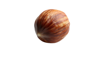 Hazelnut with a Transparent Background, a Single Nut Isolated on Black png