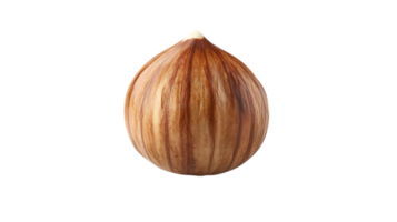 Hazelnut with a Transparent Background, Isolated, Brown Shell, Single Nut, Studio Shot, Food Photography, Natural Ingredient, Healthy Snack, Nut Shell, Edible Seed, Close-Up, Macro Photography png