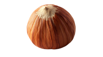Hazelnut Shell with Transparent Background, Close-Up View of the Nut's Texture, Brown Shell with a Pointed Tip, Isolated Nut on Black Background png