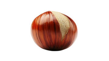 Single Hazelnut Isolated on Transparent Background, Brown Shell with Visible Striations png